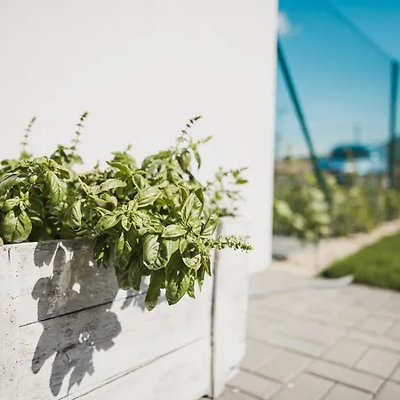 Dunajky Apartmán Dolní Dunajovice